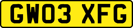 GW03XFG