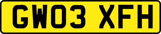 GW03XFH