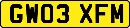 GW03XFM