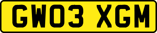 GW03XGM