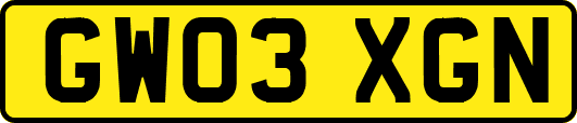 GW03XGN