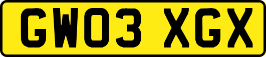 GW03XGX