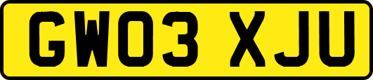 GW03XJU