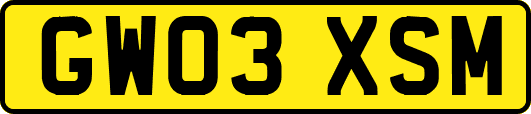 GW03XSM