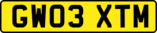 GW03XTM