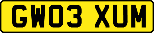 GW03XUM