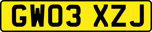 GW03XZJ