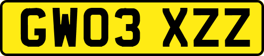 GW03XZZ
