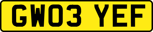 GW03YEF