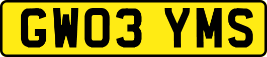 GW03YMS