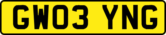 GW03YNG