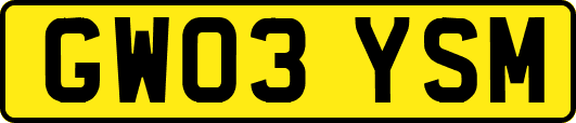 GW03YSM