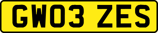 GW03ZES