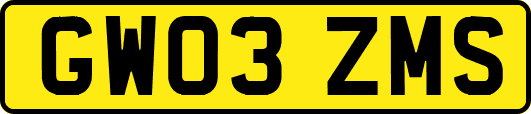 GW03ZMS