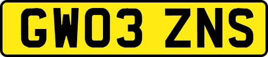 GW03ZNS
