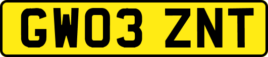 GW03ZNT