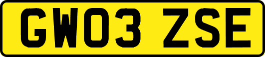 GW03ZSE