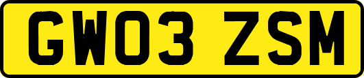 GW03ZSM