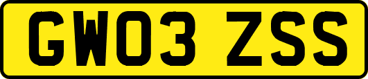 GW03ZSS