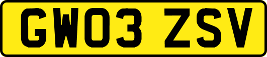 GW03ZSV