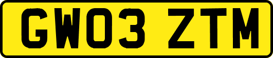 GW03ZTM