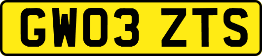 GW03ZTS