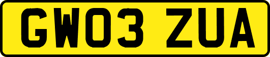 GW03ZUA