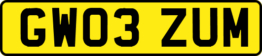 GW03ZUM