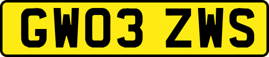 GW03ZWS