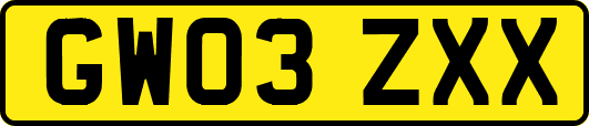 GW03ZXX
