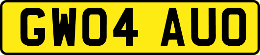 GW04AUO