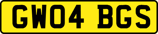 GW04BGS