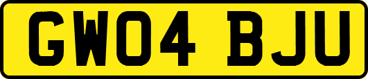 GW04BJU