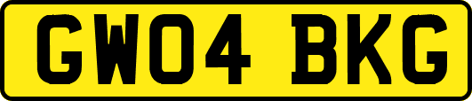 GW04BKG
