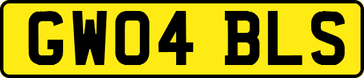 GW04BLS