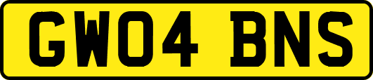 GW04BNS