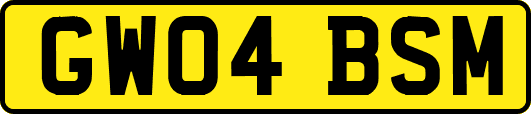 GW04BSM