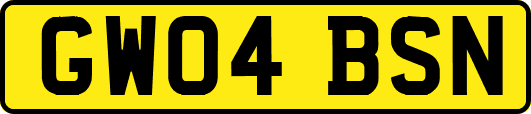 GW04BSN