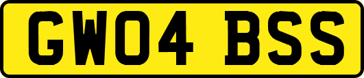 GW04BSS