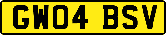 GW04BSV