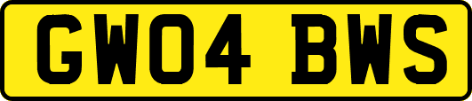 GW04BWS