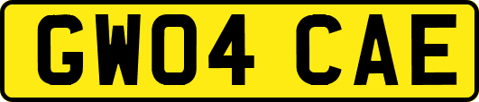 GW04CAE