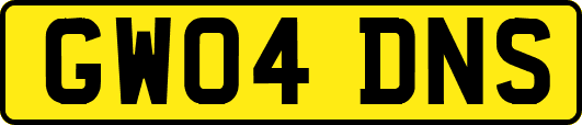 GW04DNS