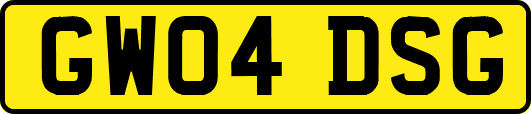 GW04DSG