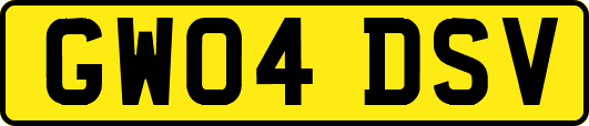 GW04DSV