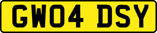 GW04DSY
