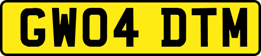 GW04DTM