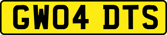 GW04DTS