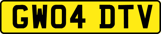 GW04DTV