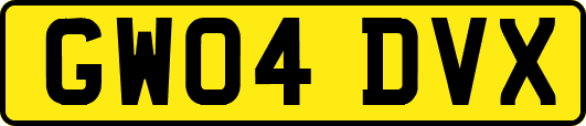 GW04DVX